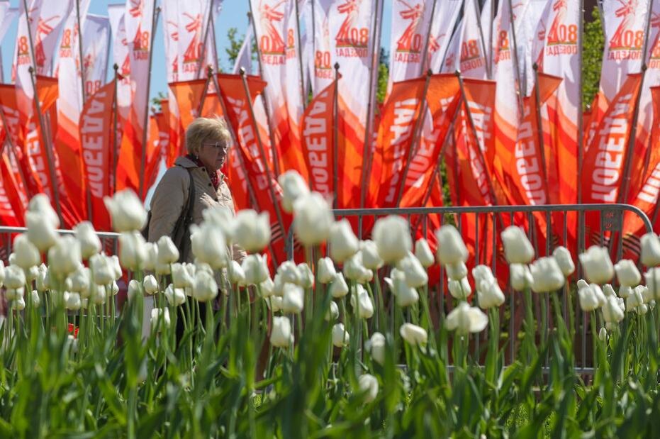    Наталья Шатохина/NEWS.ru