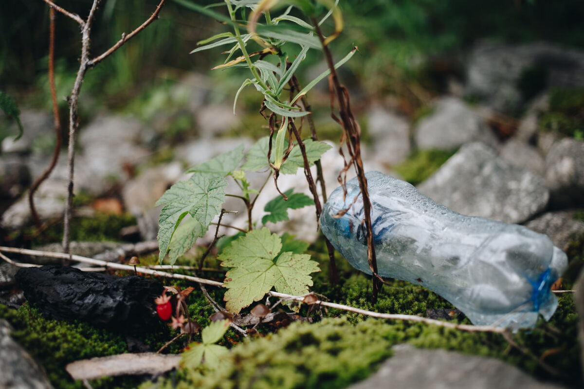 📸 Фото: Глеб Кузнецов