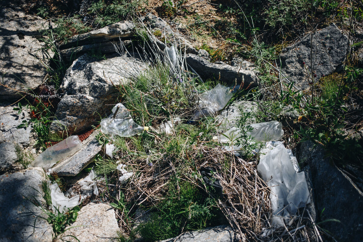 📸 Фото: Глеб Кузнецов