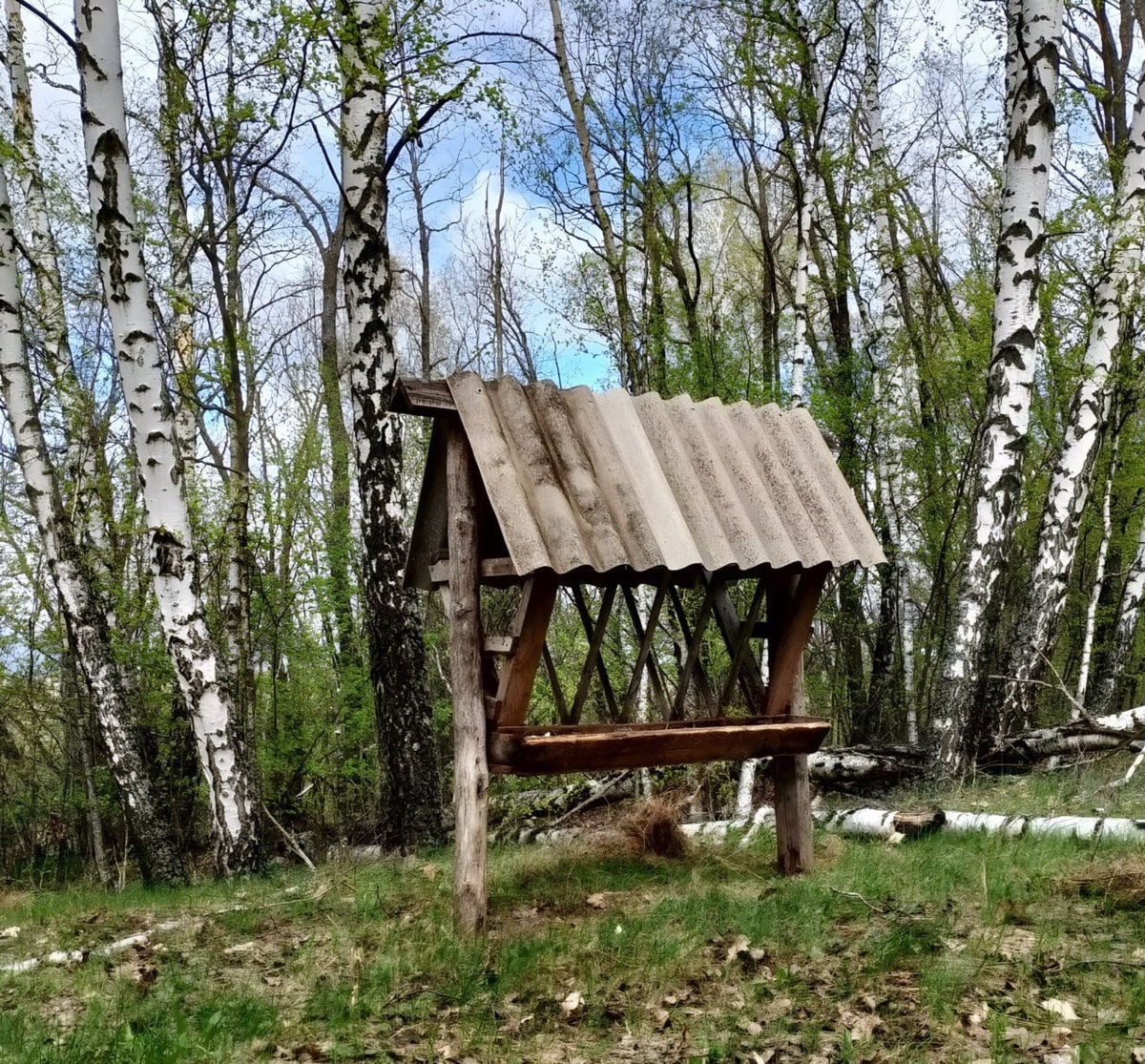 Фото: Министерство природных ресурсов Курской области