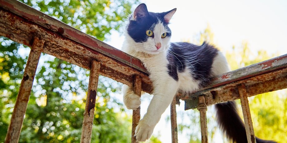 Фото: 123RF/keleny