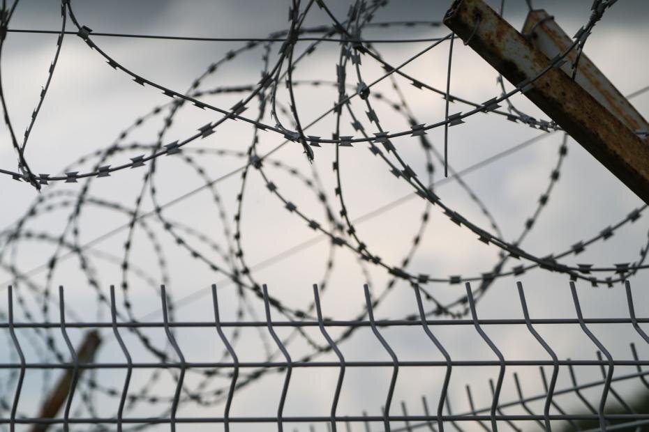    Алексей Белкин/NEWS.ru