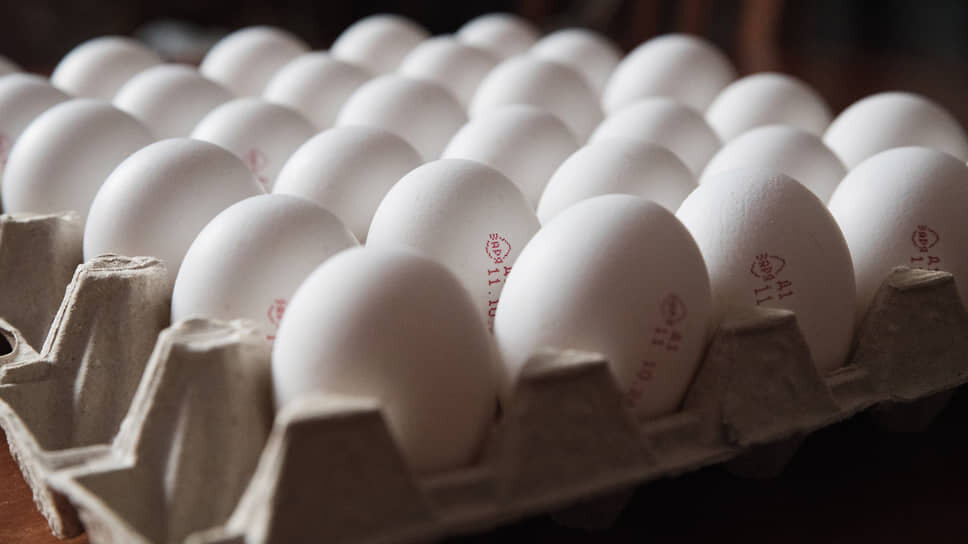 Фото: Александр Манзюк / Коммерсантъ