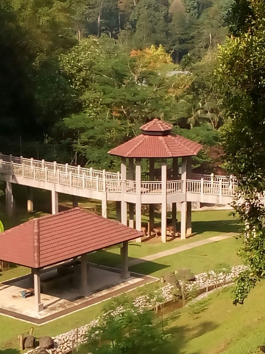 Загляните под опоры моста-пятнистые олени!