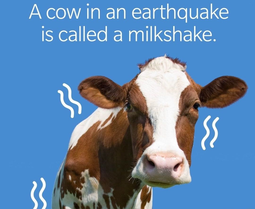 Теперь вот думаю, почему по-русски говядина, а не, скажем — коровятина. Гуглить специально не хочу, но есть подозрения, что там всё не так муу-торно.