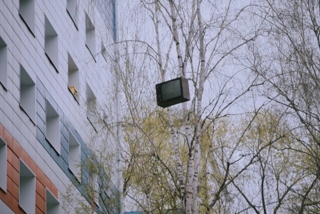    Фото:  АиФ/ Антон Харин