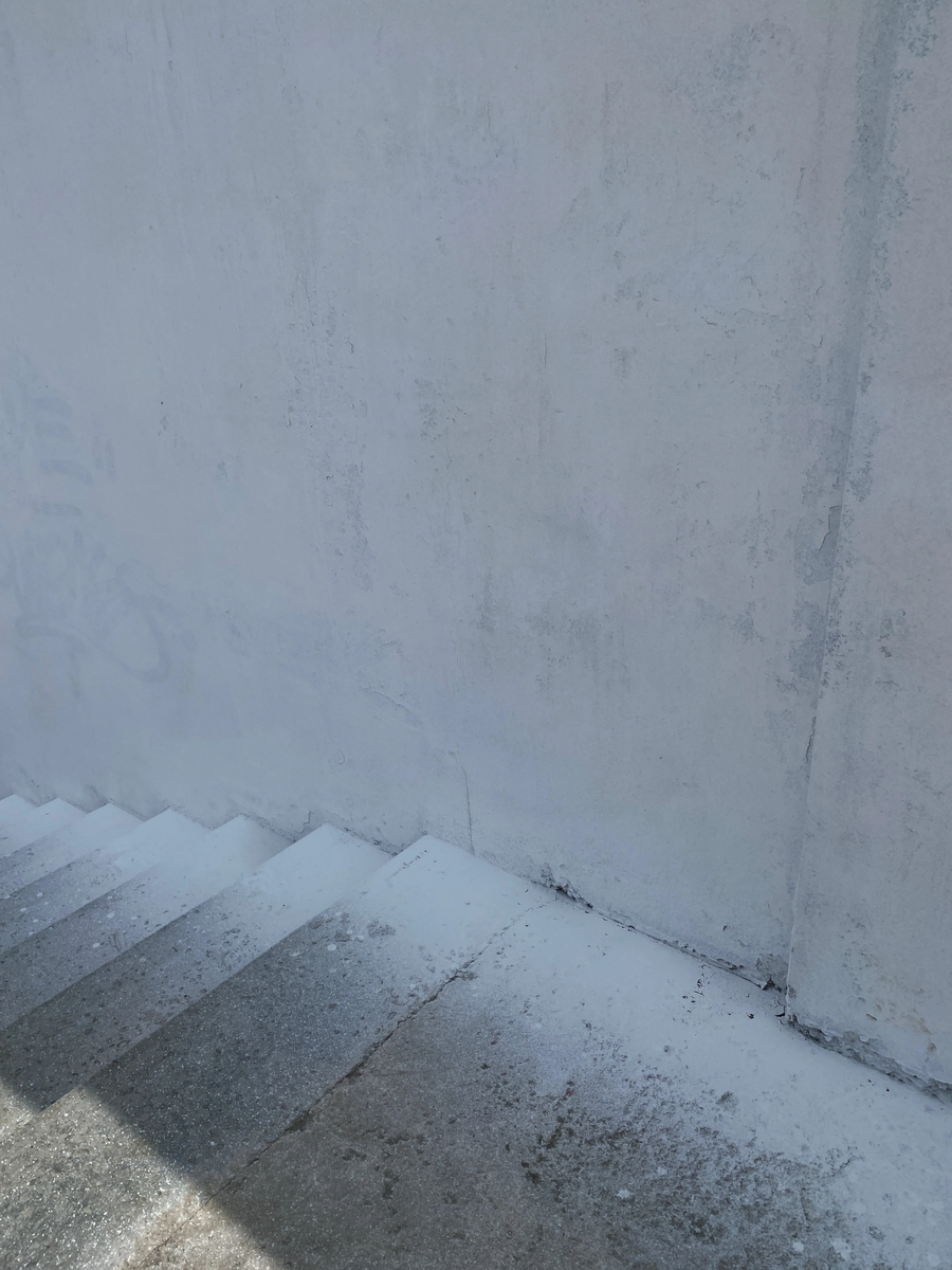    Фото: «Омск Live» во «ВКонтакте»