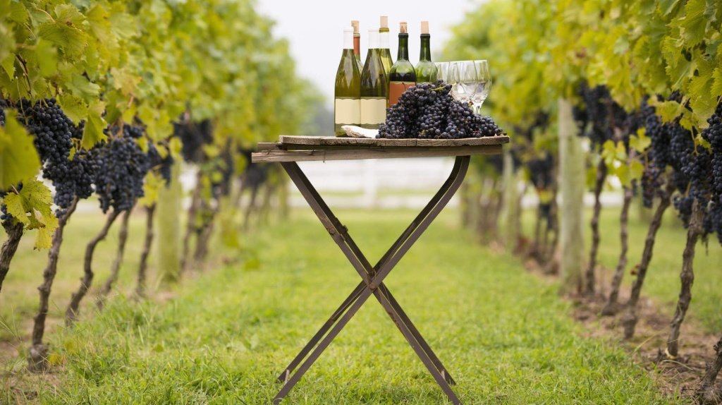 Экологичность производства не теряет популярности уже который год