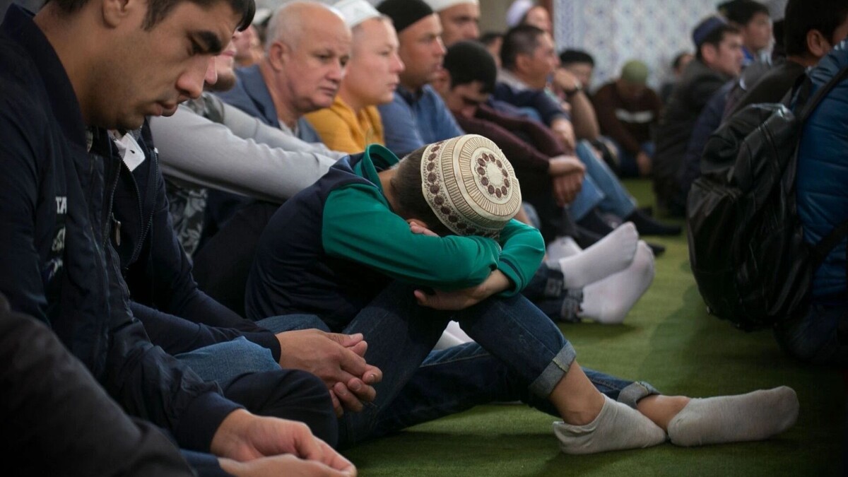     Источник: 1MI