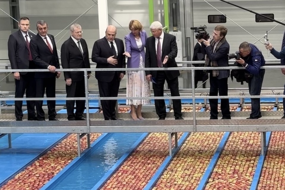 Водные каналы c яблоками сортировочной линии Greefa