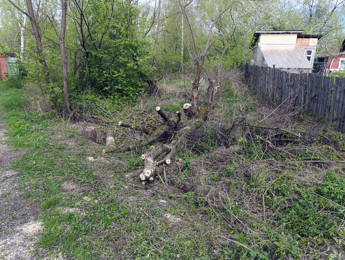 Место лесоповала