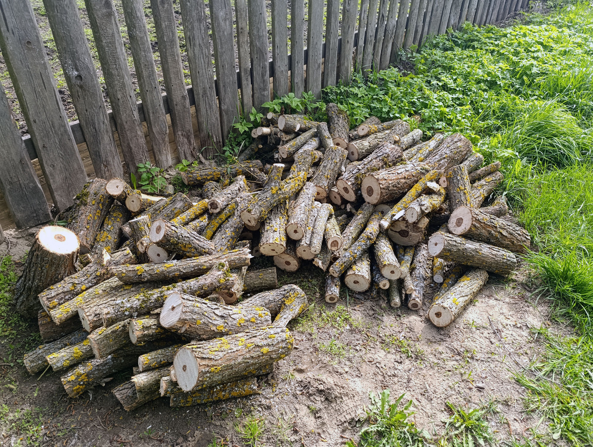 Дрова для бани