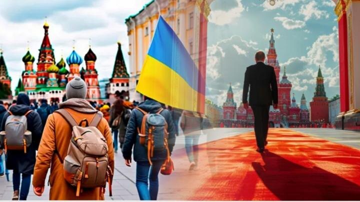 Коллаж: Novorosinform