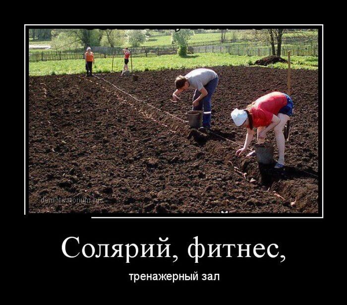 Возвращение к истокам...