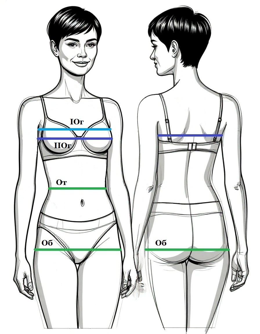 Рисунок 2. Как снимать мерки: Окружности груди, талии и бёдер