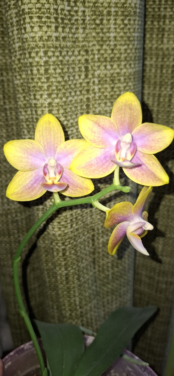 Фото со вспышкой 