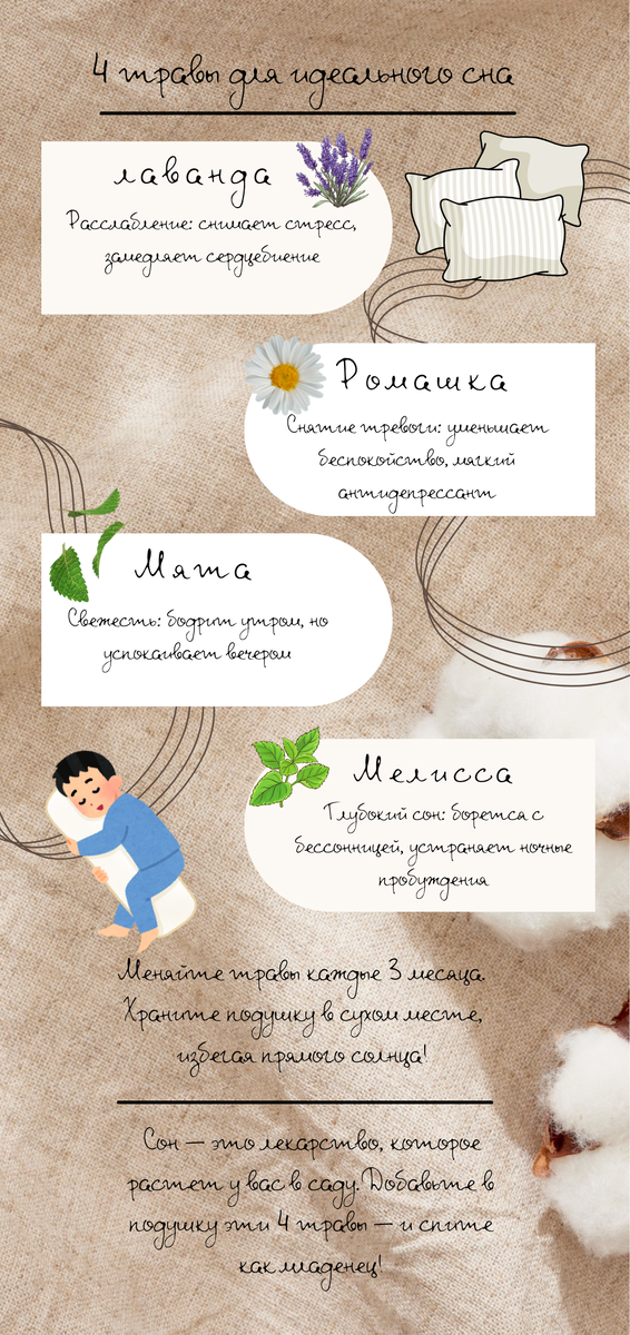 4 травы для идеального сна