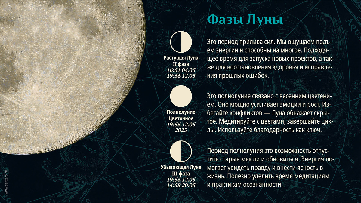 Лунный календарь на неделю, Школа "СольТаро"