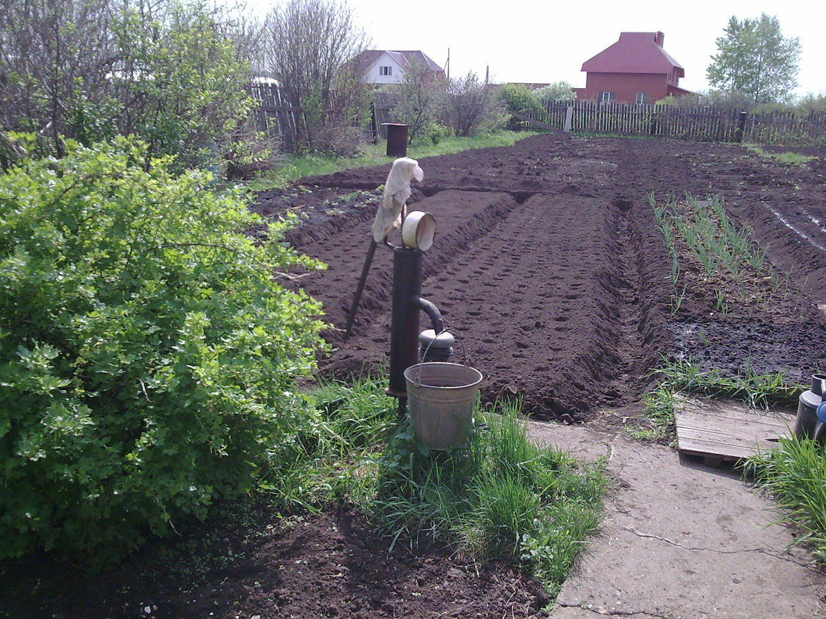 Сначала пахали мотоблоком. Потом делали грядки. Это фото сделано 15 лет назад.