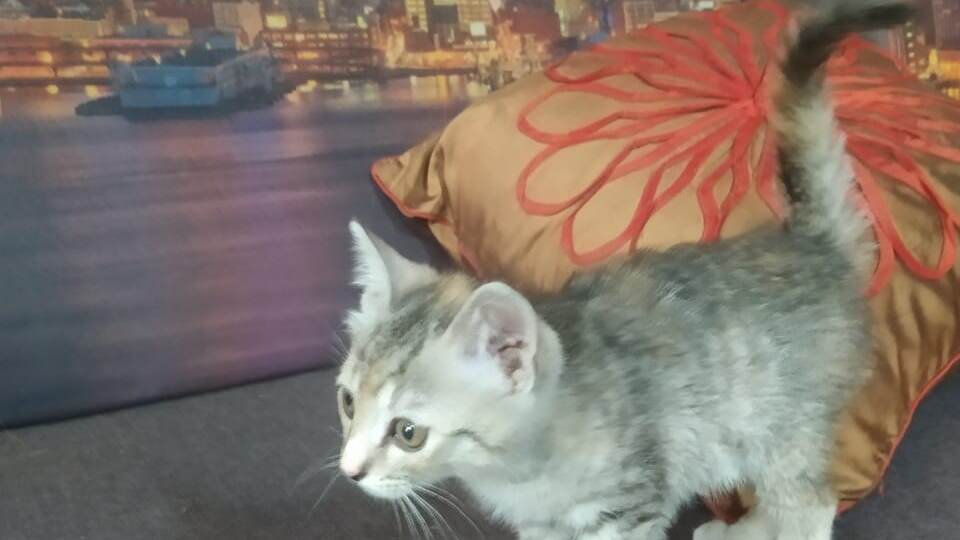 Мы верили в лучшее, но не думали, что это случится так скоро