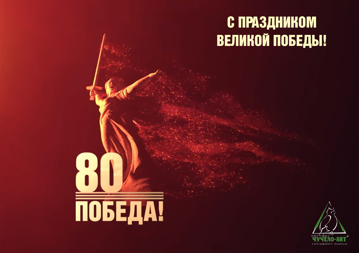 В великий День Победы желаем Вам от души светлой памяти о героях и их подвигах, настоящей гордости и искренней благодарности за мир. Пусть будет ясным небо над головой, пусть будет красочным и добрым мир вокруг нас.