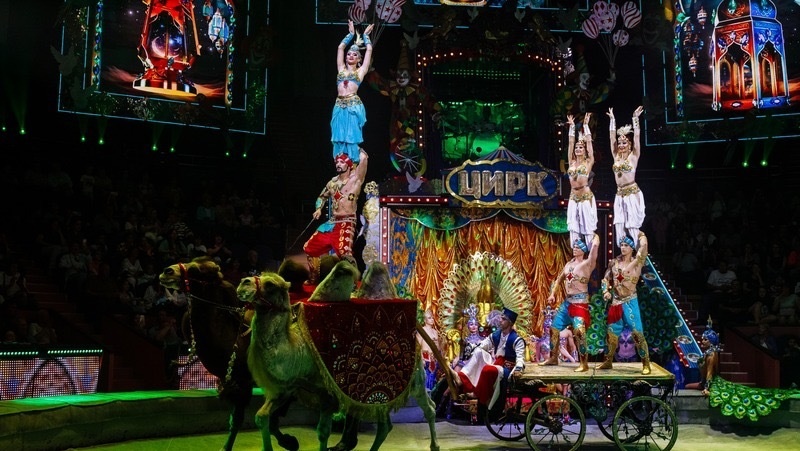    Цирковое шоу можно посмотреть на выходных Фото: ИА «Победа26»