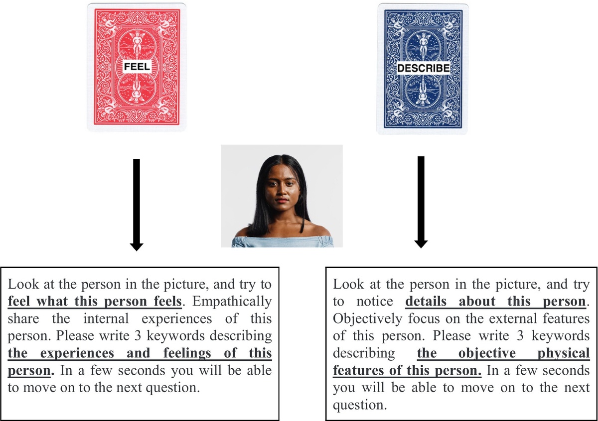    Схематическое представление экспериментаFrontiers in Psychology