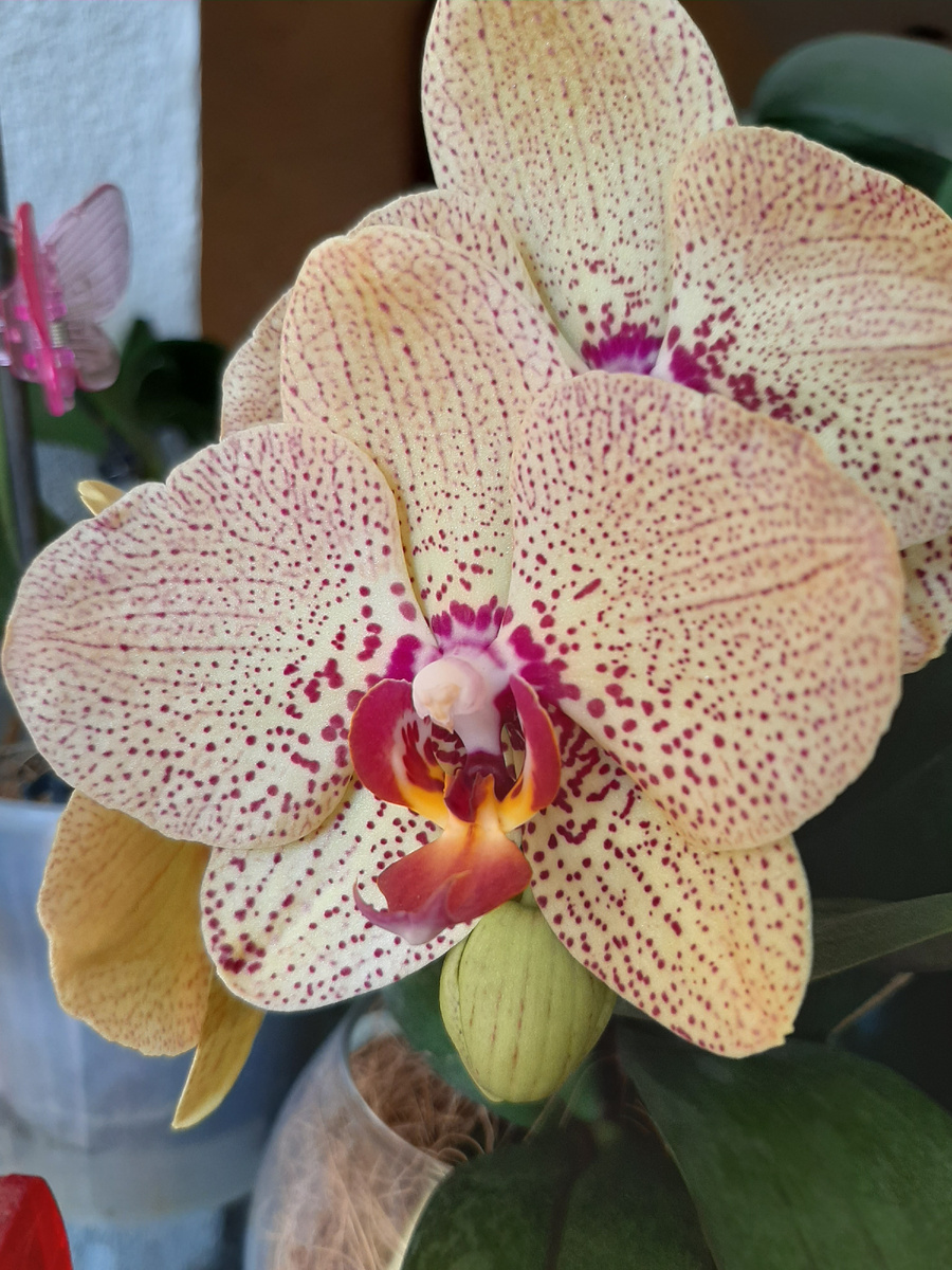 Обложка статьи. Архивное фото 2024