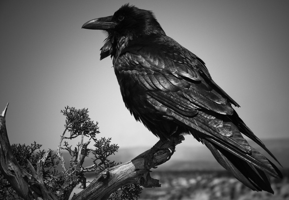 для атмосферы