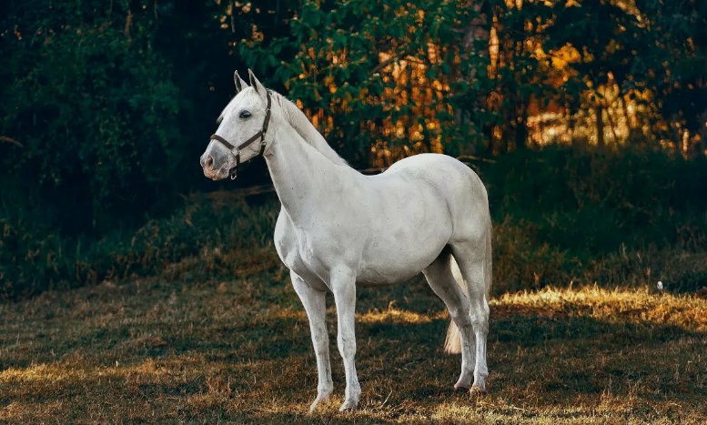 для атмосферы