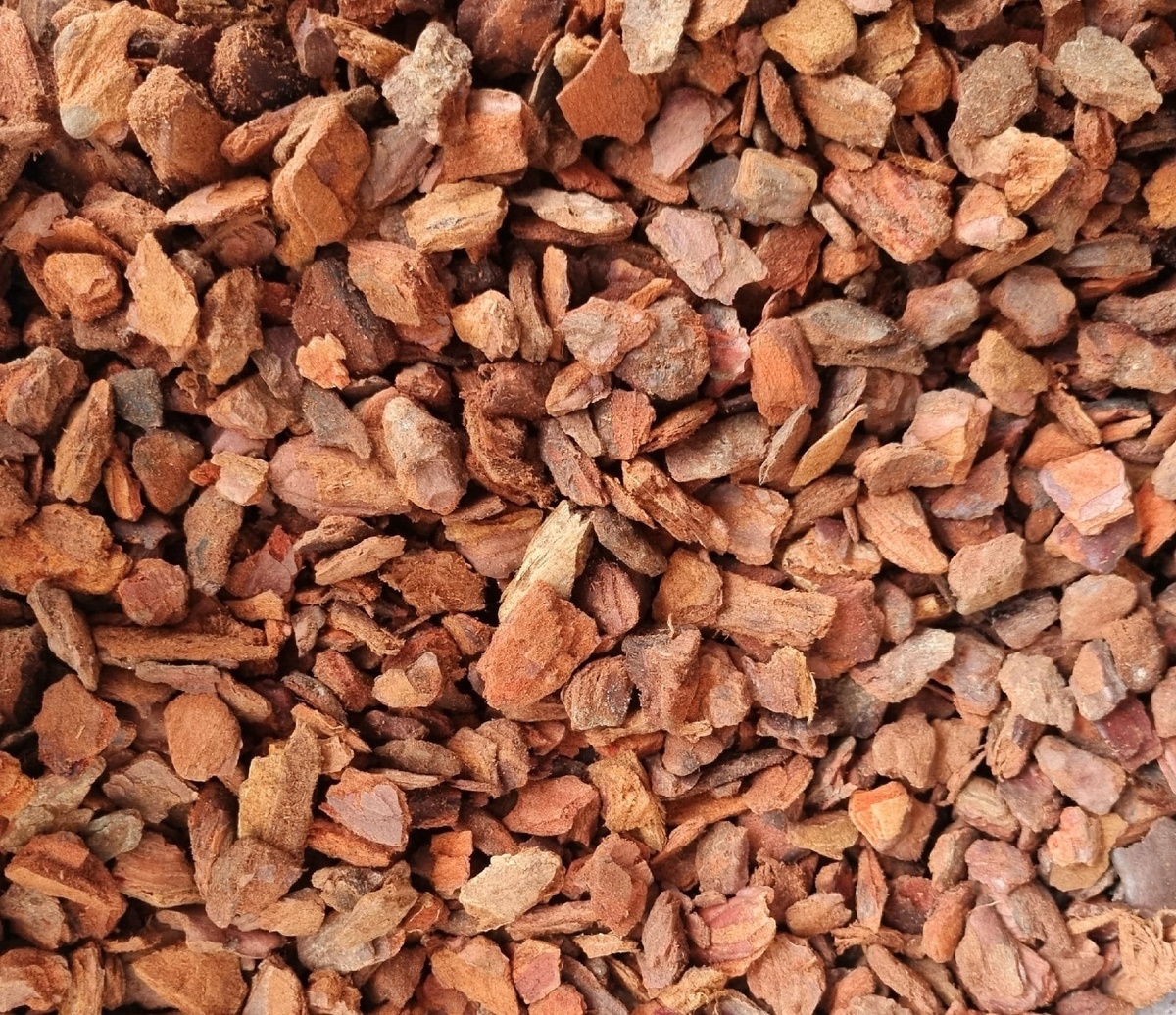 Обложка статьи. Фото из интернета