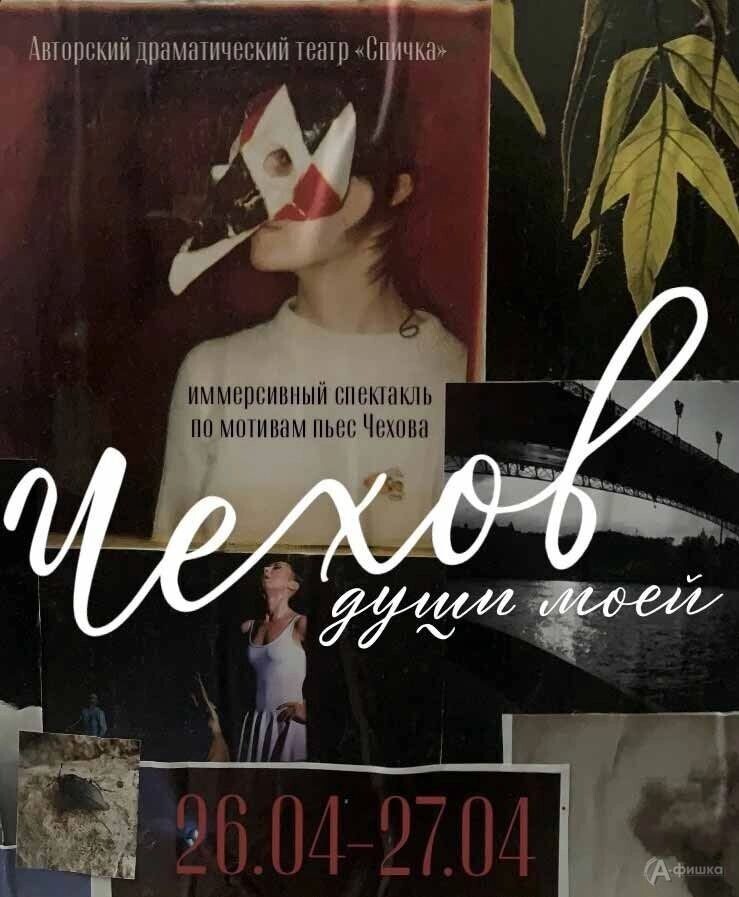     Источник: afishka31.ru