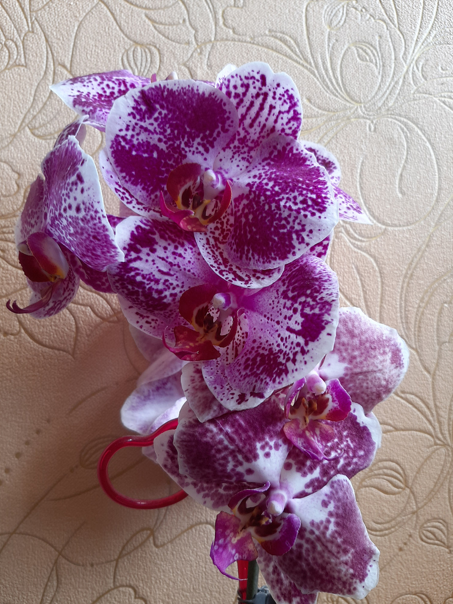 Обложка статьи, архивное фото