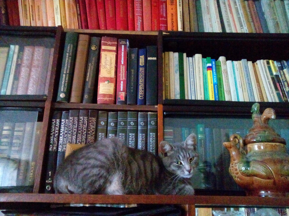 фото из семейного архива