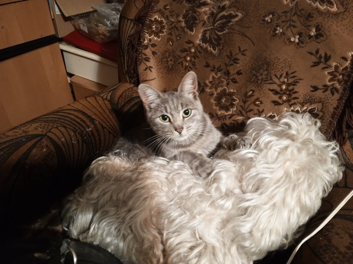 еще одна обожаемая мной фотография Муси