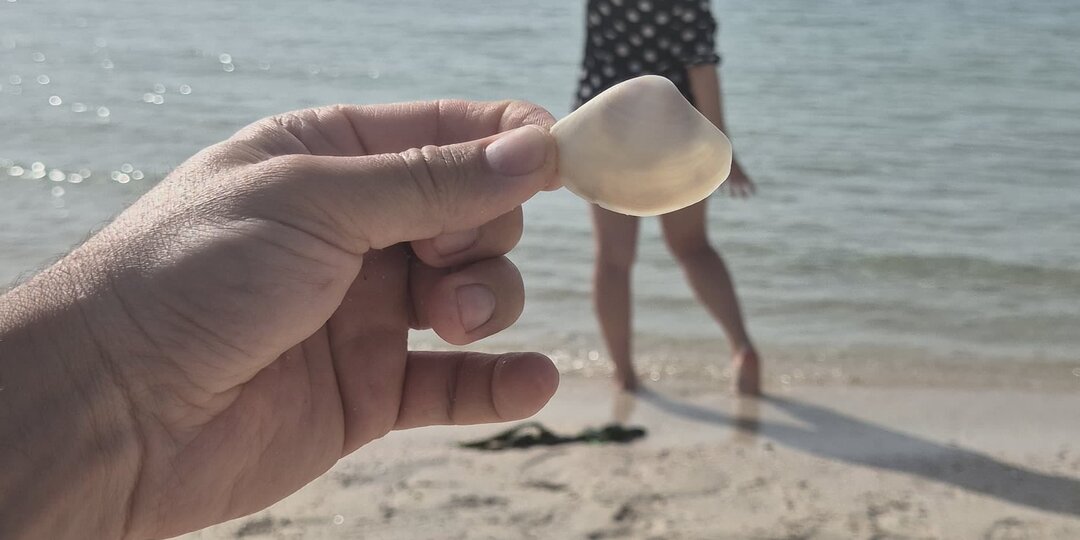 Разочарование и способы с этим справиться