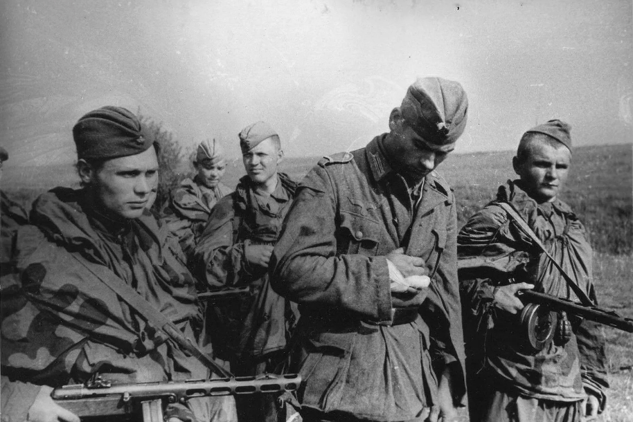 фото из интернета.