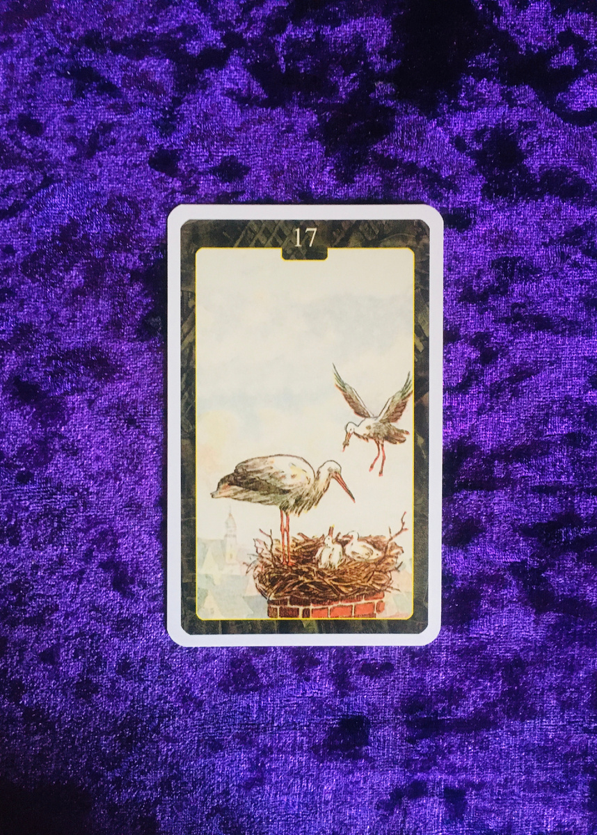 Фото автора. 1 вариант 