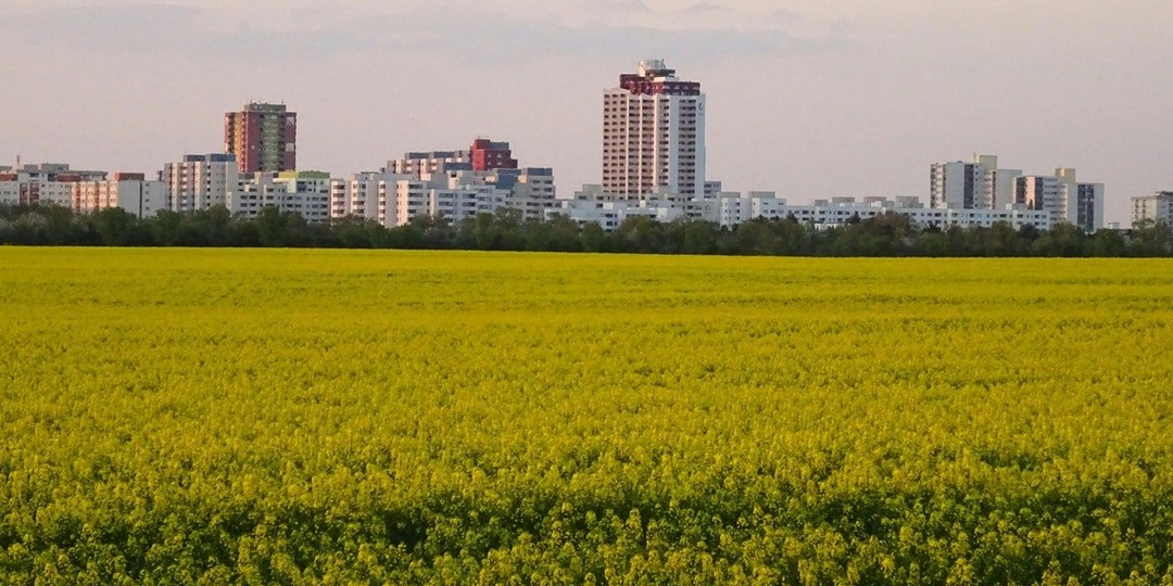 Городские фермы способны прокормить население среднего города после апокалипсиса