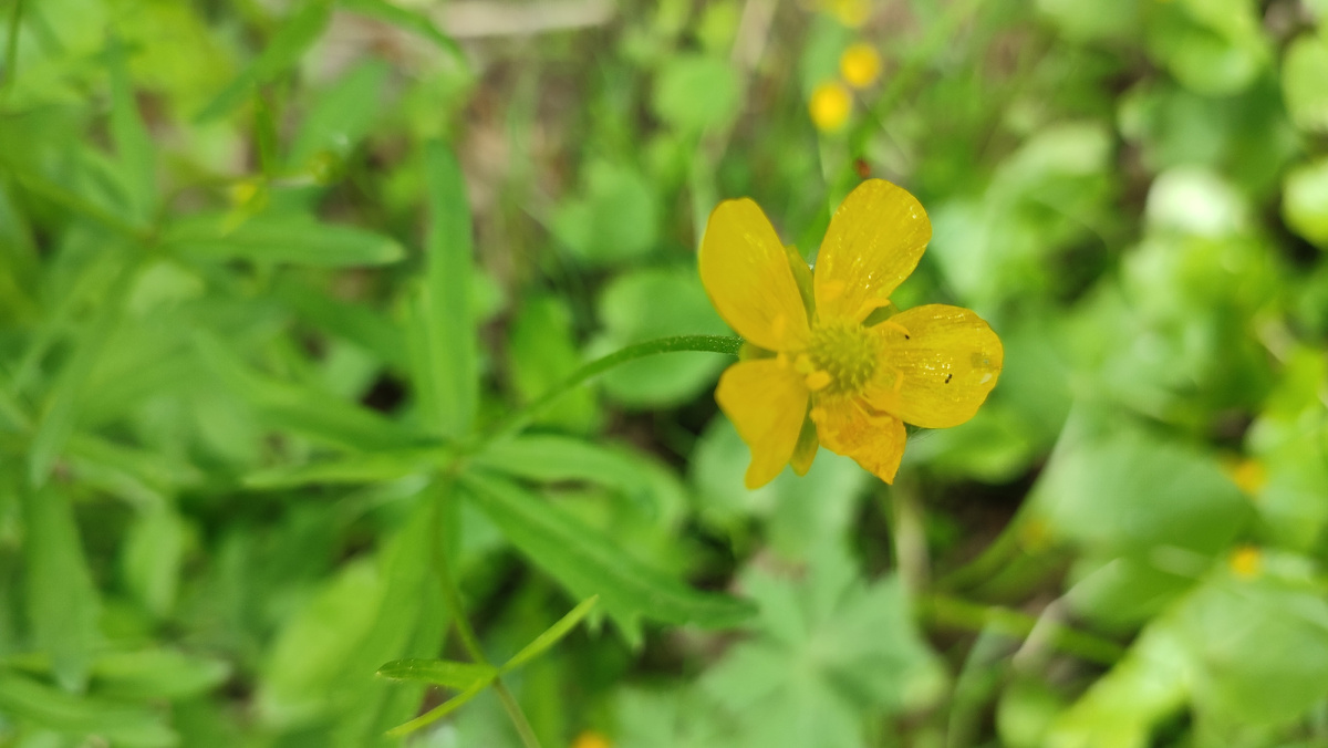 По дороге на электричку