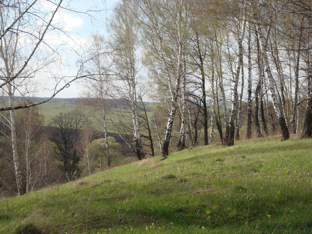 Фото автора. Не могу сказать про весь мир, но меня красота точно спасает!
