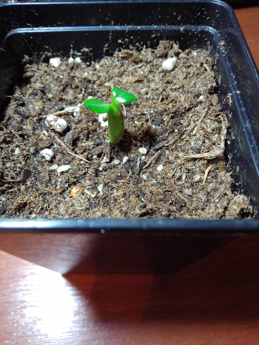 20.07.2024 Фото автора