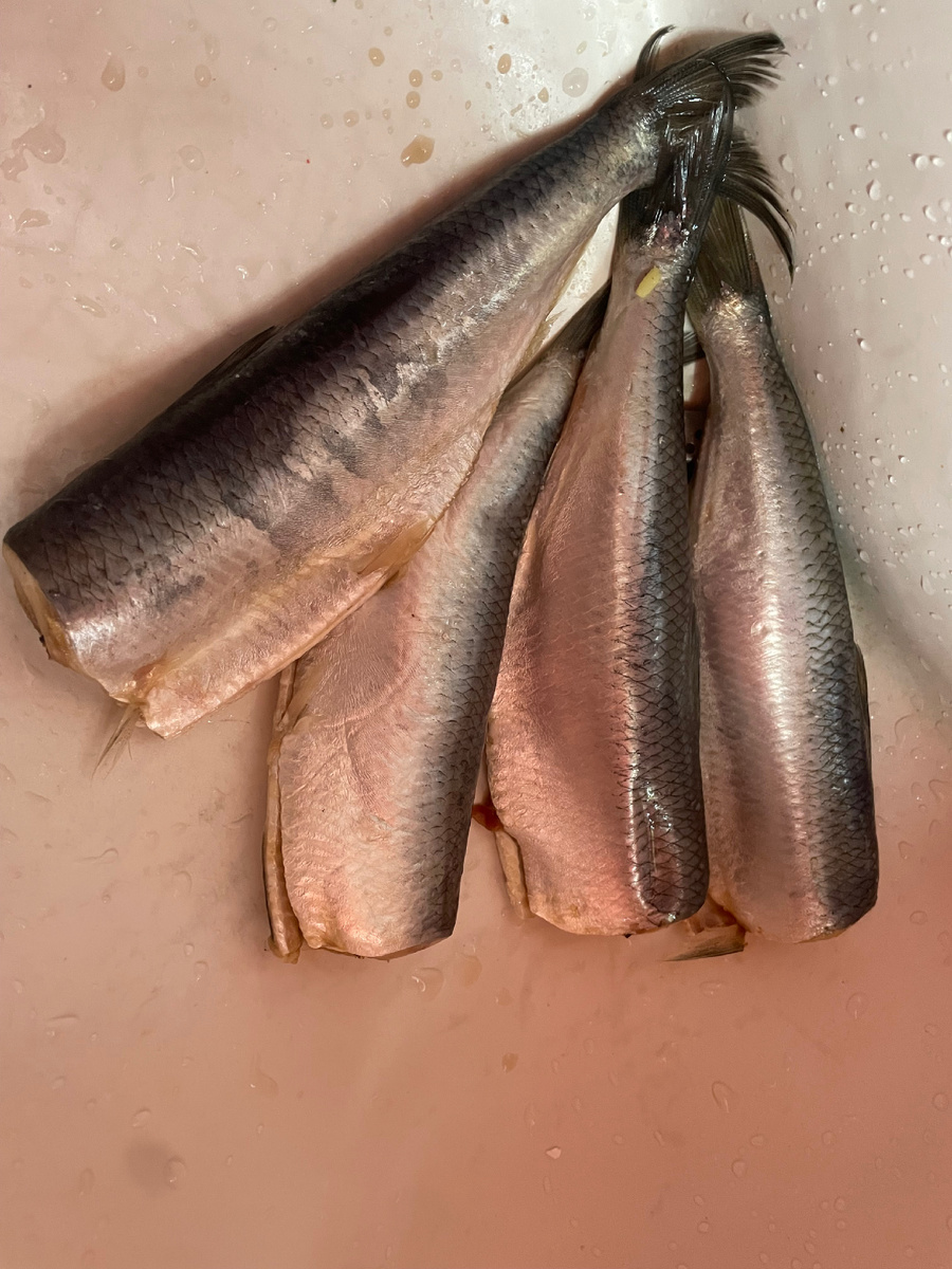 Ленка,моя родная,которая сдает мне жильё с тех времен,принесла Черноморскую селедку! Сказала-засоли! Я засолила) На 9 мая будем пробовать)