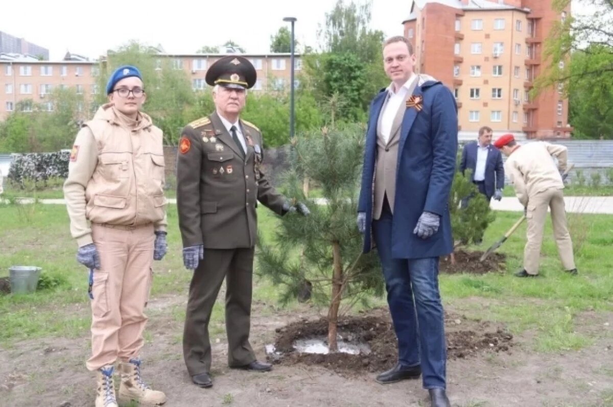    В Рязани появилась новая сосновая аллея в рамках акции «Сад Памяти»