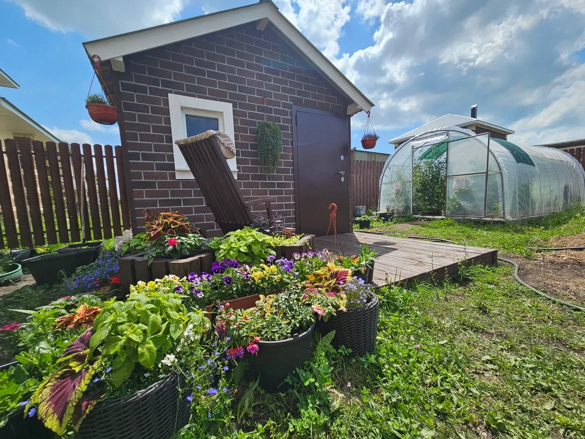 Немного прошлогодней красоты