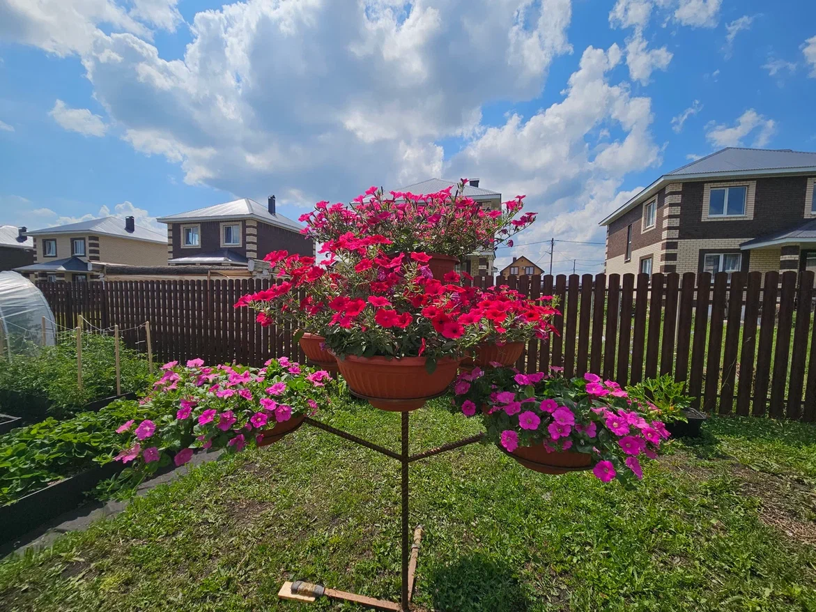 И так было красиво, но в этом году будет ещё лучше