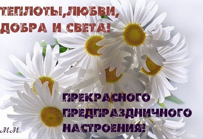 Из интернета для хорошего настроения 🫶🏻 