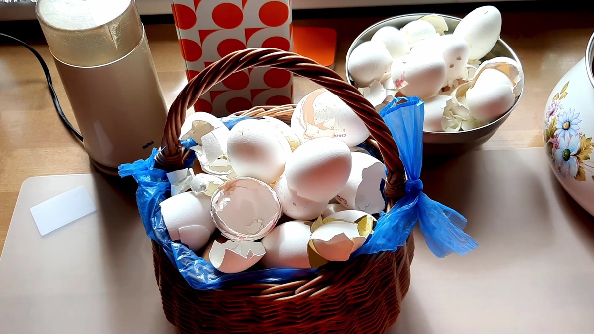 Собранная и высушенная скорлупа яиц. Не выбрасываем!