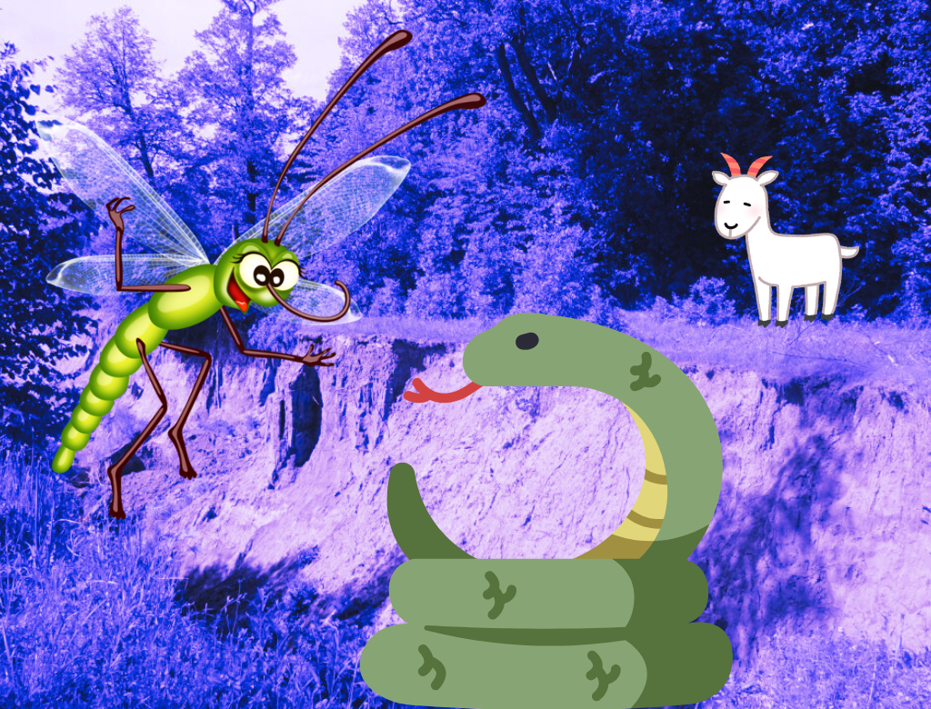 Козюли и козявки