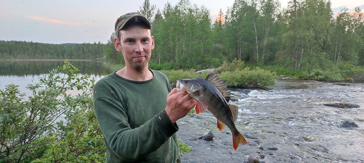 Окунь по временам года. Лето